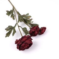 3 Heads Ranunculus Stem in Burgundy