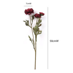 3 Heads Ranunculus Stem in Burgundy
