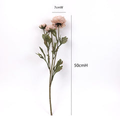 3 Heads Ranunculus Stem in Antique-latte