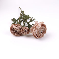 3 Heads Ranunculus Stem in Antique-latte