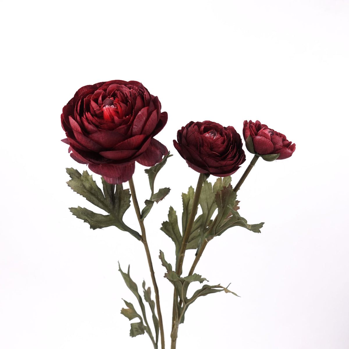 3 Heads Ranunculus Stem in Burgundy