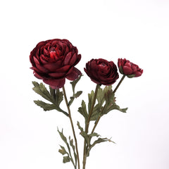 3 Heads Ranunculus Stem in Burgundy