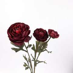 3 Heads Ranunculus Stem in Burgundy