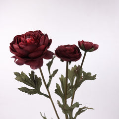 3 Heads Ranunculus Stem in Burgundy