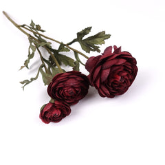 3 Heads Ranunculus Stem in Burgundy