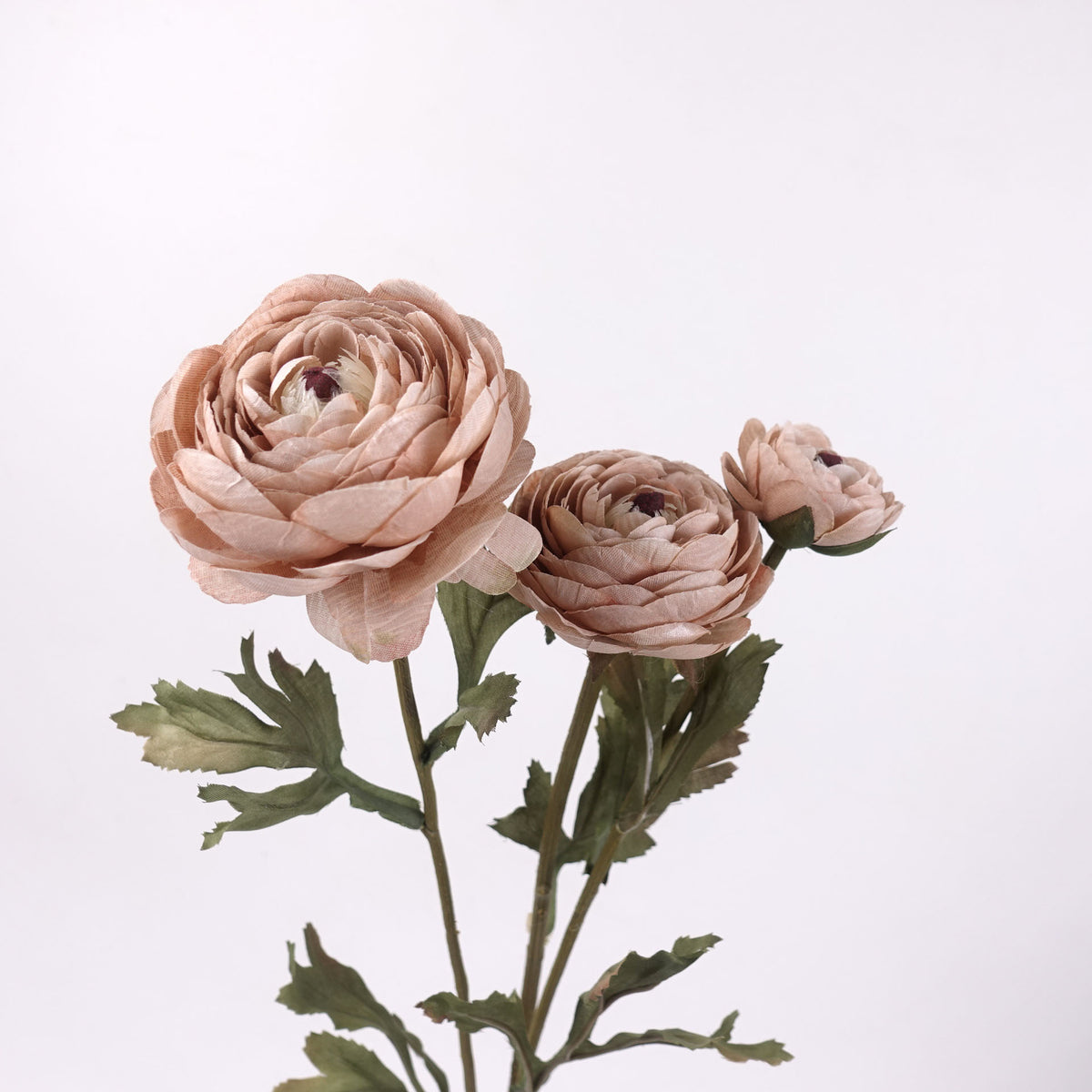 3 Heads Ranunculus Stem in Antique-latte