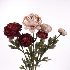 3 Heads Ranunculus Stem in Burgundy
