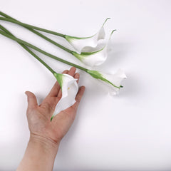 4pcs Small Head Real-touch Calla Lily Stem
