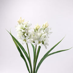 3 Heads Hyacinth Stem
