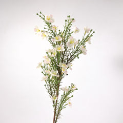 Wax Flower Stem in Pink