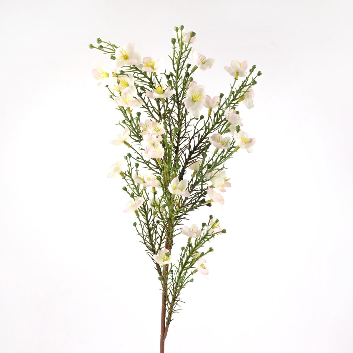 Wax Flower Stem in Pink