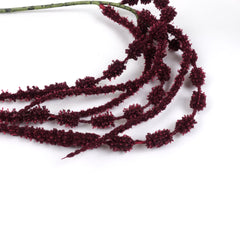 Amaranthus Stem in Burgundy