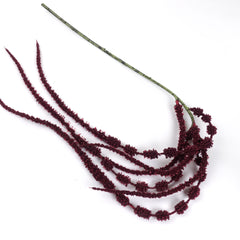Amaranthus Stem in Burgundy