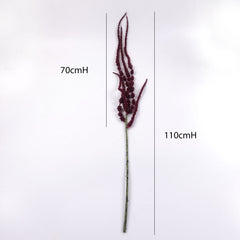Amaranthus Stem in Burgundy