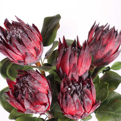 Big Size Artificial Protea King Stem 60cmH