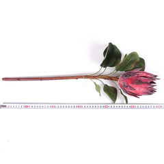 Big Size Artificial Protea King Stem 60cmH