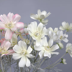 6 Heads Artificial Cosmos Flower 60cmH