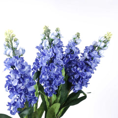 Stock Flower Stem 80cmH Delphinium Flower