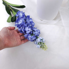 Stock Flower Stem 80cmH Delphinium Flower