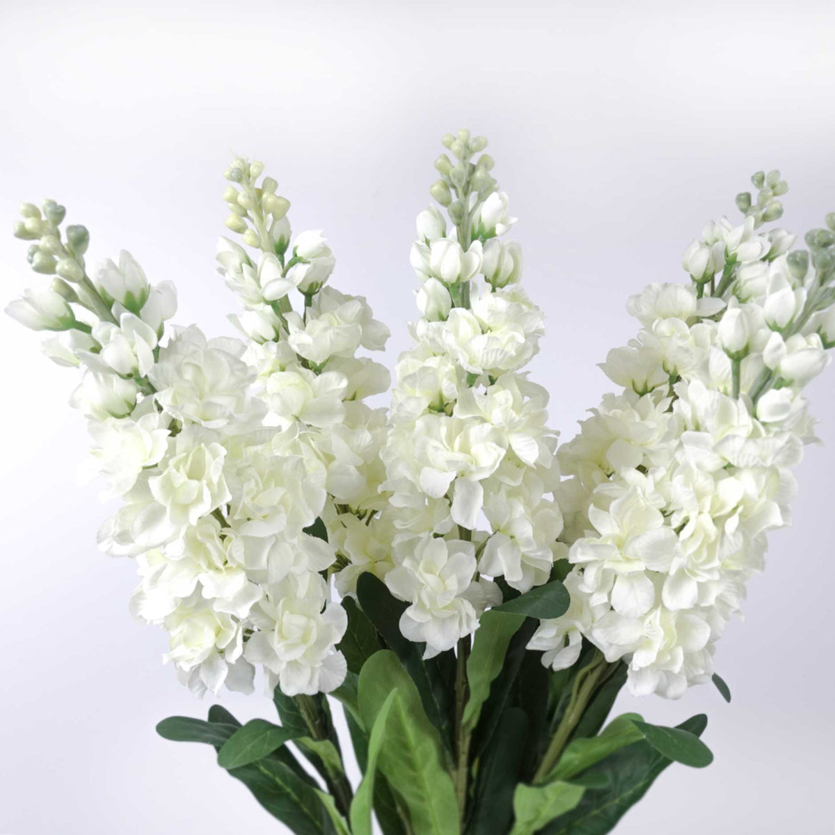 Stock Flower Stem 80cmH Delphinium