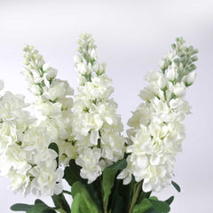 Stock Flower Stem 80cmH Delphinium