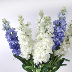 Stock Flower Stem 80cmH Delphinium Flower