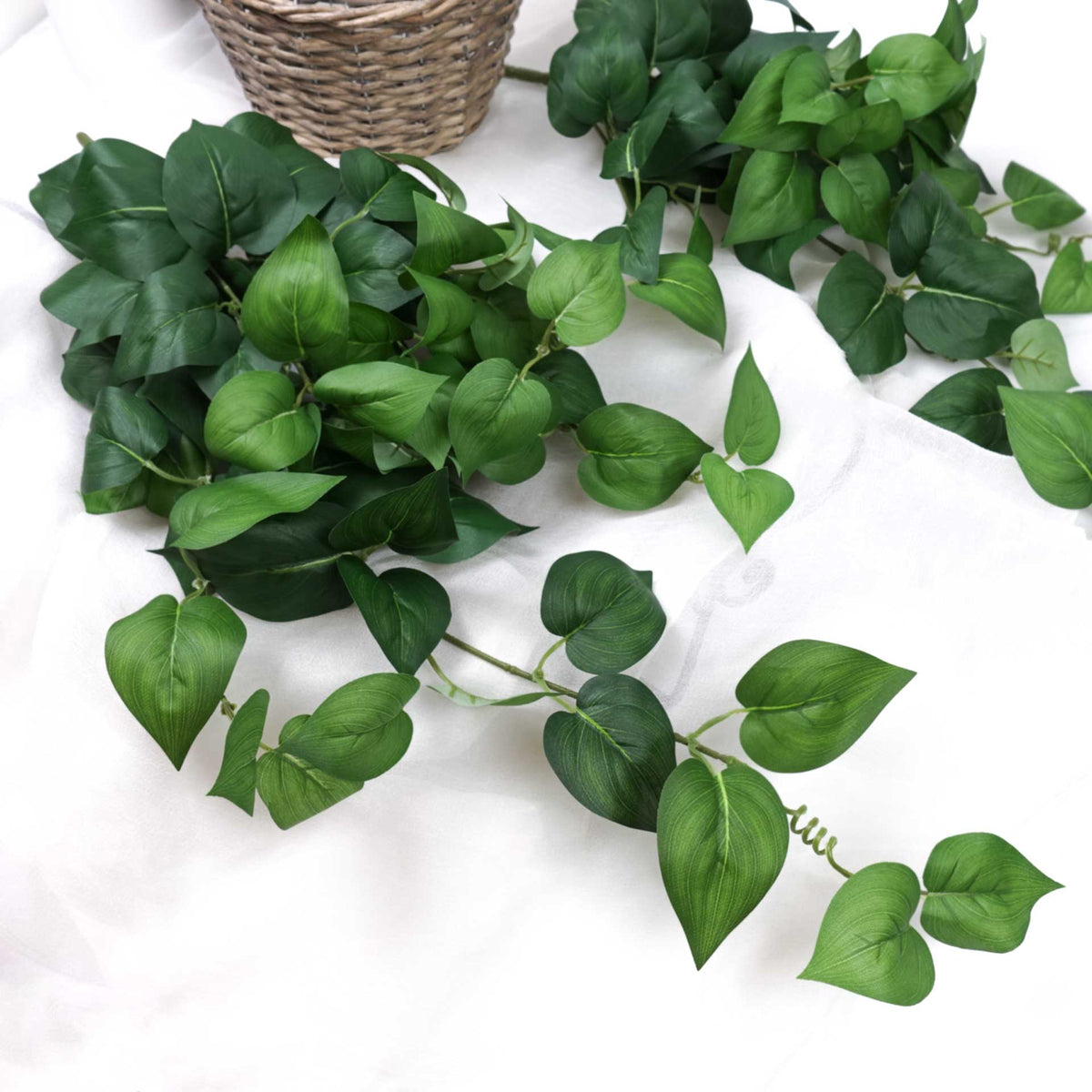 Philodendron Hanging Bush 65cmH Heart Leaf