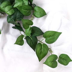 Philodendron Hanging Bush 65cmH Heart Leaf