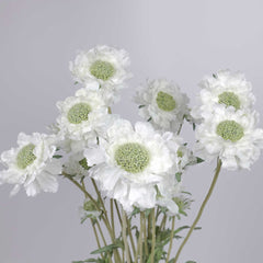 3 Heads Scabiosa Spray 64cmH