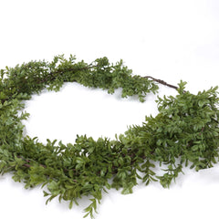 Ruscus Leaf Garland 150cmH