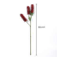 3 Heads Native Bottlebrush Stem 60cmH