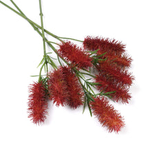 3 Heads Native Bottlebrush Stem 60cmH