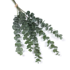 5 Stems Frosted Eucalyptus Bunch 60cmH