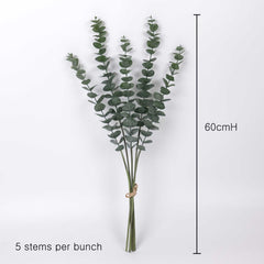 5 Stems Frosted Eucalyptus Bunch 60cmH