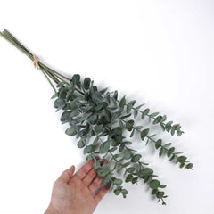 5 Stems Frosted Eucalyptus Bunch 60cmH