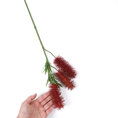 3 Heads Native Bottlebrush Stem 60cmH