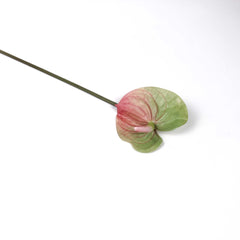 Real-touch Anthurium Stem 70cmH