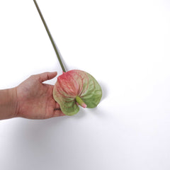 Real-touch Anthurium Stem 70cmH