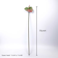 Real-touch Anthurium Stem 70cmH