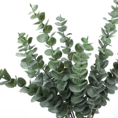 5 Stems Frosted Eucalyptus Bunch 60cmH