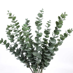 5 Stems Frosted Eucalyptus Bunch 60cmH