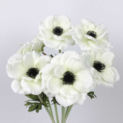 Anemone Flower Stem 53cmH