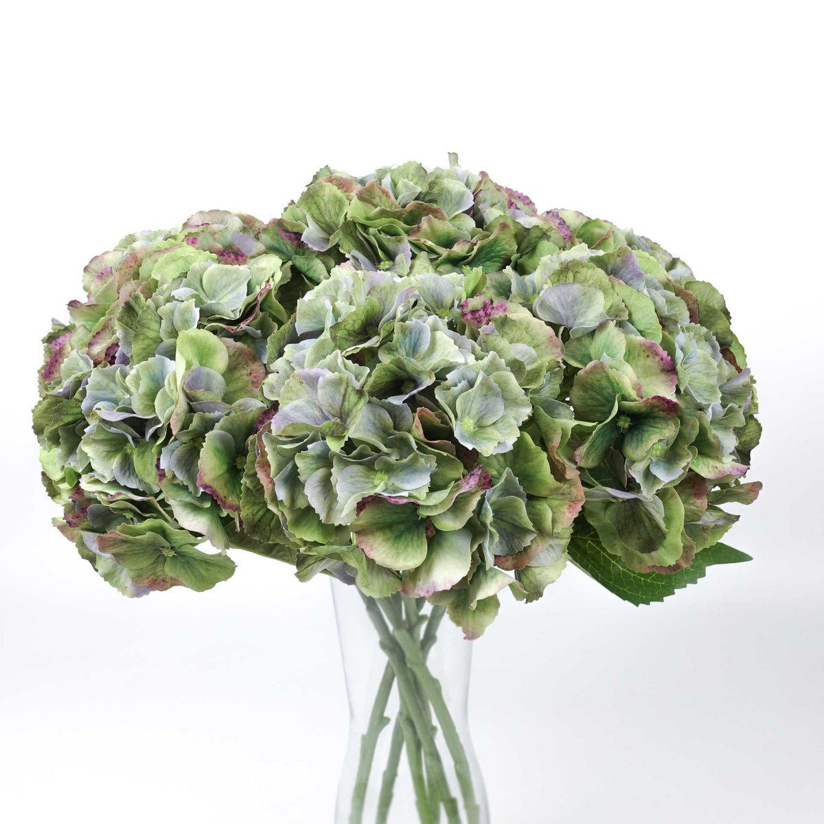 Real-touch Hydrangea Stem 50cmH