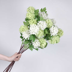 5 Heads Snowball Hydrangea Stem 77cmH