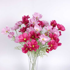 6 Heads Cosmos Flower 60cmH