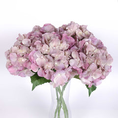 Real-touch Hydrangea Stem 50cmH