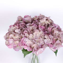 Real-touch Hydrangea Stem 50cmH