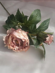 English Rose Stem 64cmH