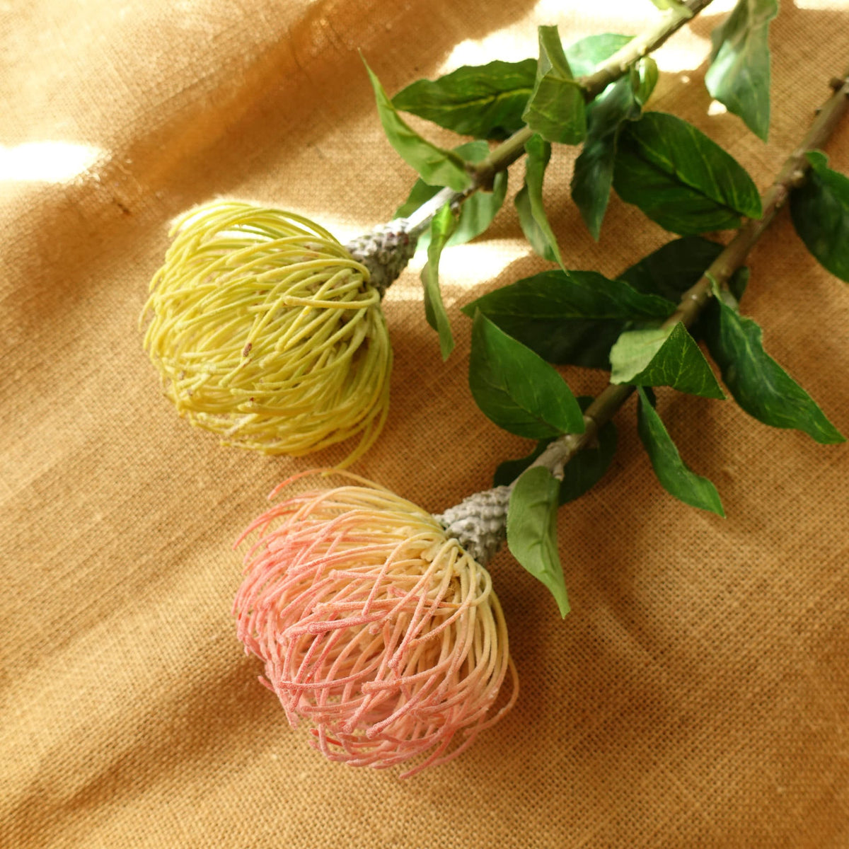 Artificial Leucospermum Stem 70cmH