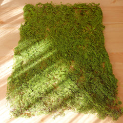 Artificial Moss Mat 24cmx30cm